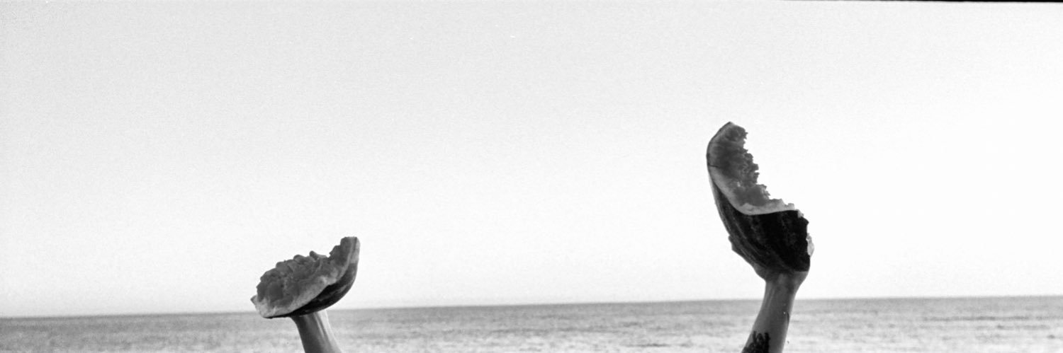 hstyleslaurent's profile banner image