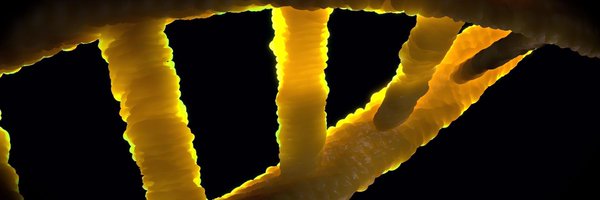 EinsteinCross Profile Banner