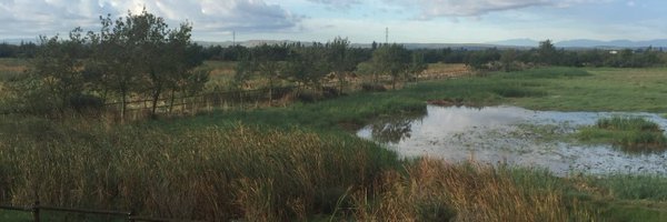 UVicAquatic Profile Banner