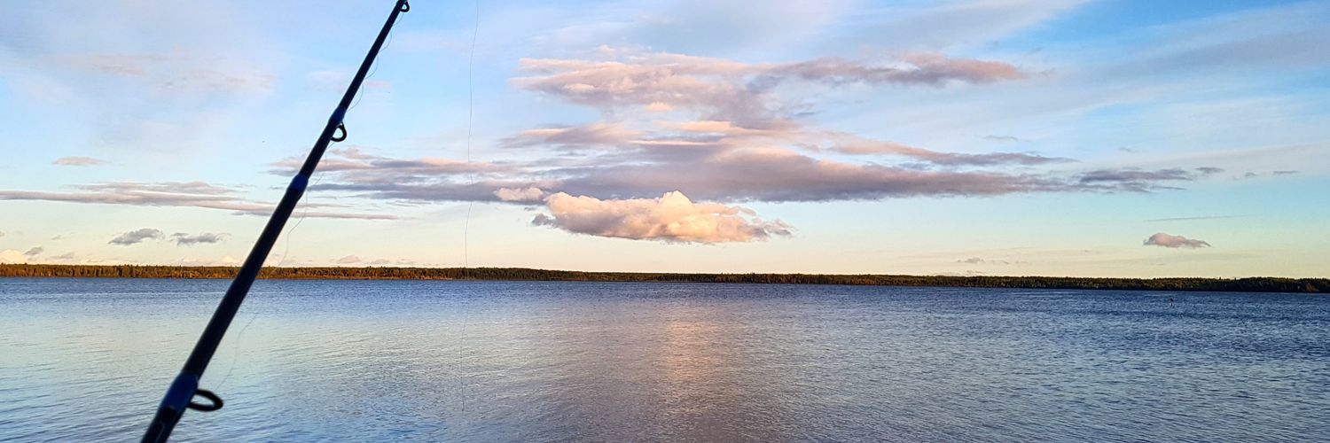 pdlandry's profile banner image