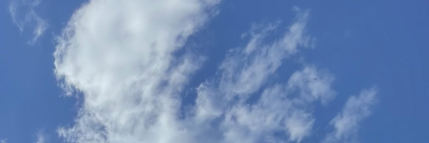ren banner