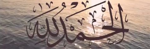 FarahHarb2's profile banner image
