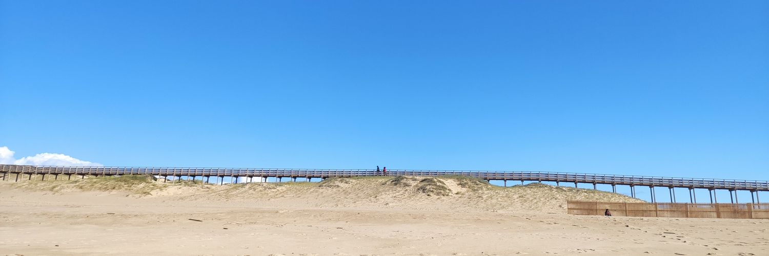 Cláudio Franco banner