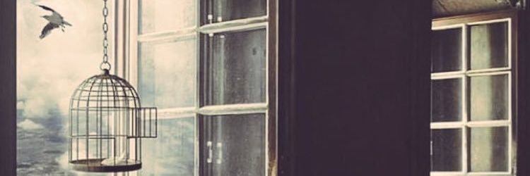 Mera__Dream's profile banner image