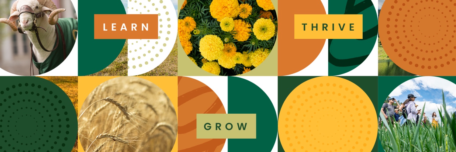 csuextension's profile banner image