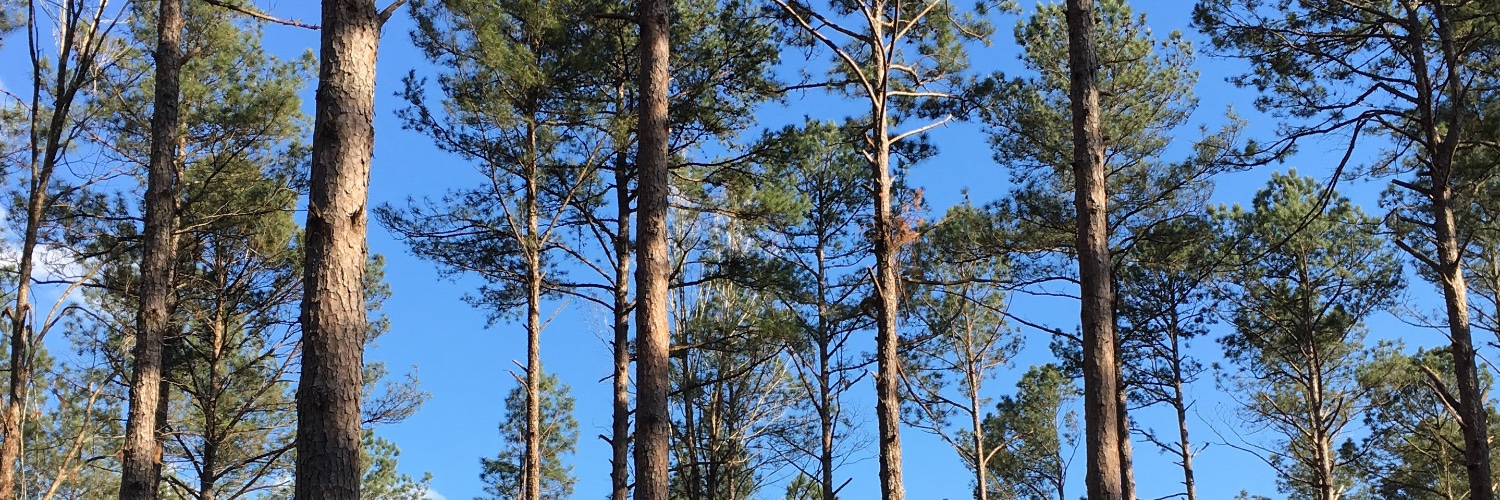 Drax Group US banner