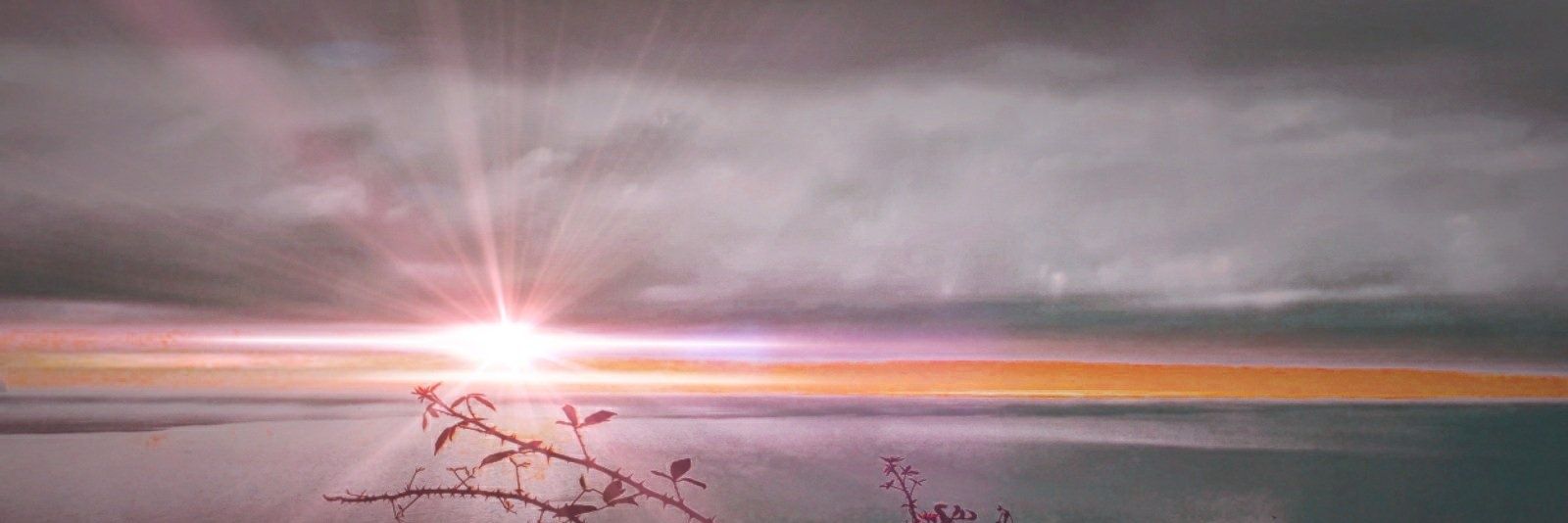 nakshastro's profile banner image