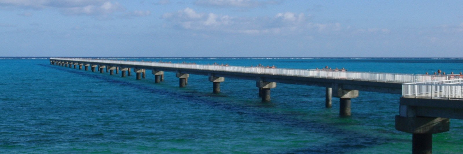 fill_ss's profile banner image