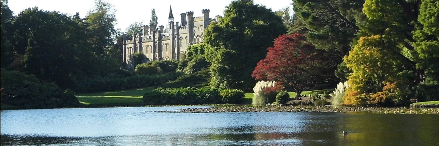 ElbBullard's profile banner image