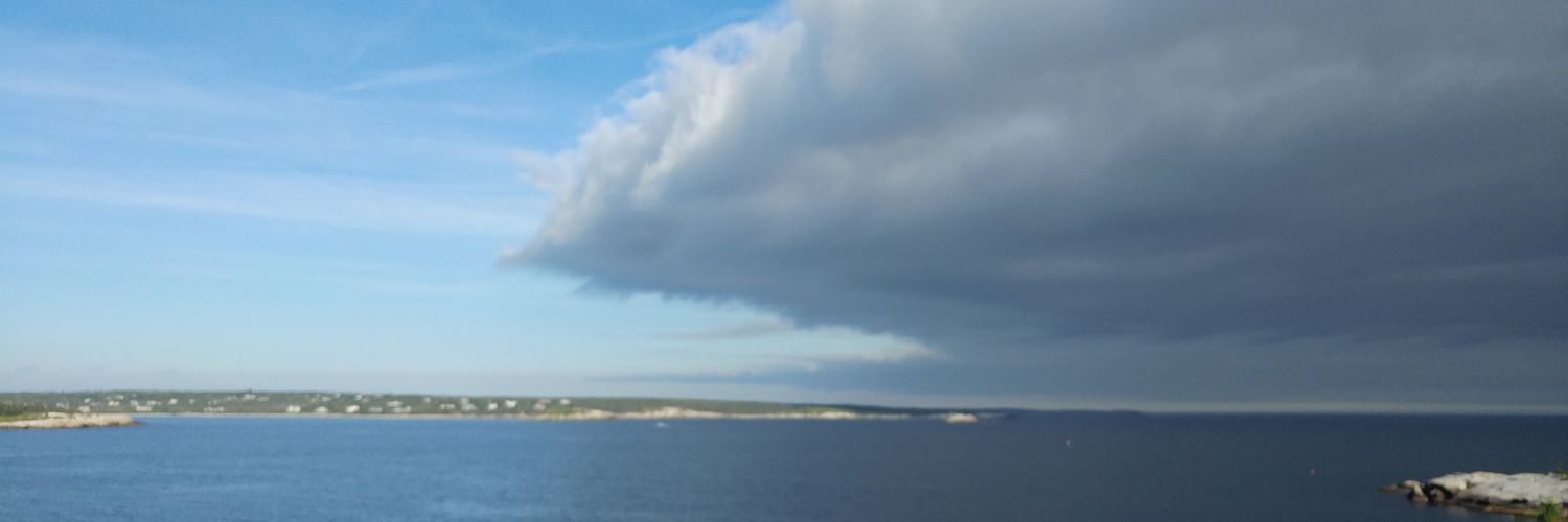 Patty Walker banner