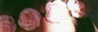 mesho3sll's profile banner image