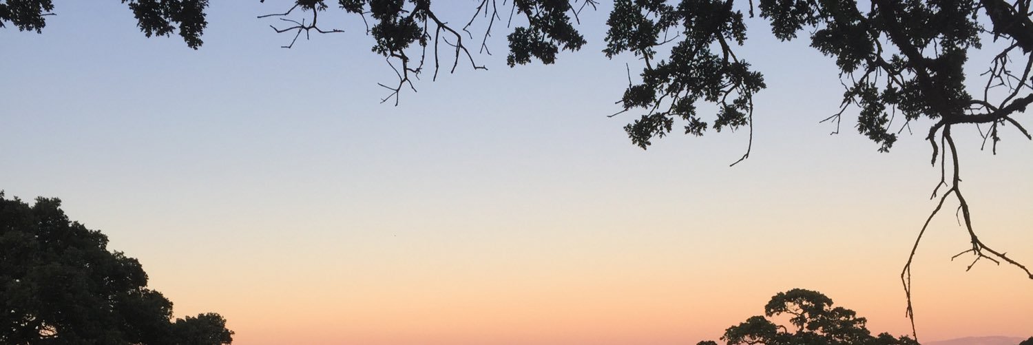 RealJPBenoit's profile banner image