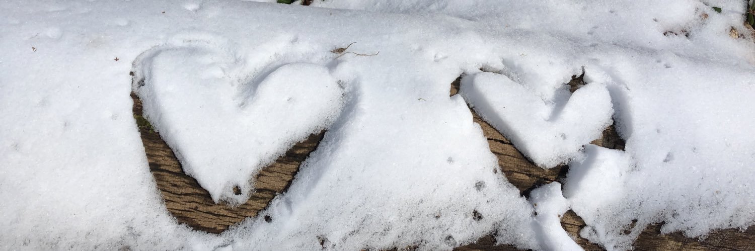 Dina Dechmann ⭐️ banner