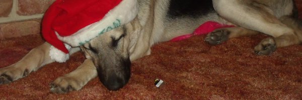 BethSchmidtYode Profile Banner