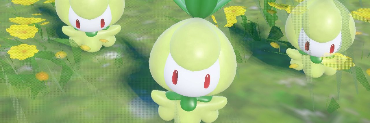 Macatora's profile banner image