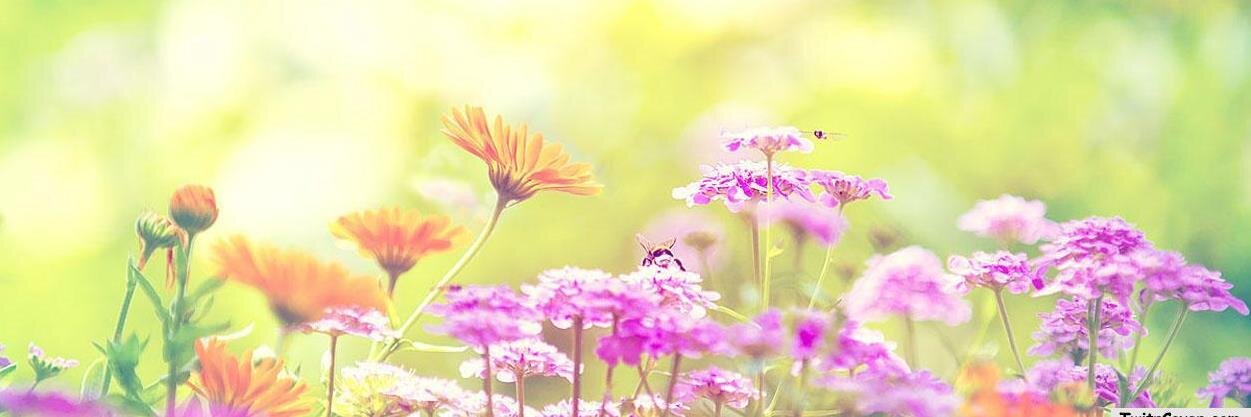 karen_devera's profile banner image