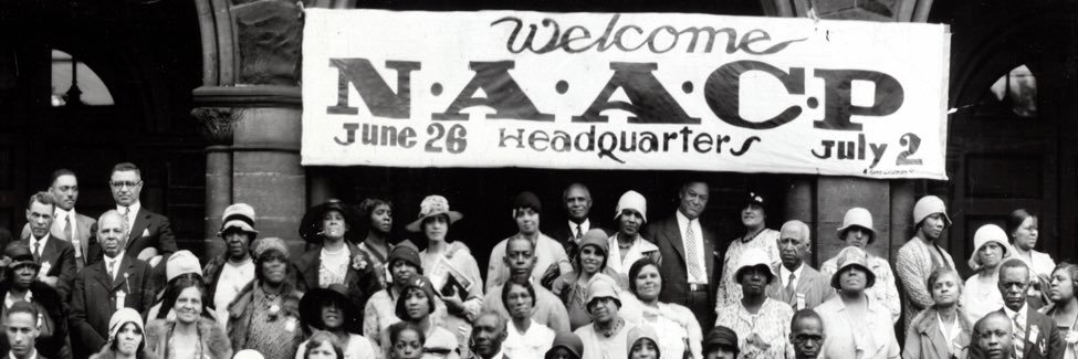 W.E.B. Dubois banner