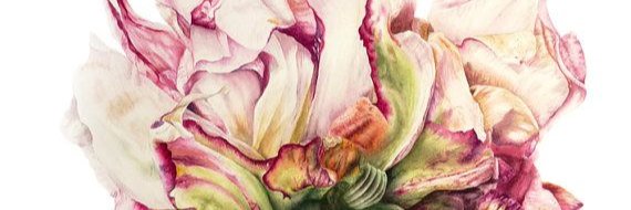 Brightmorningsy's profile banner image