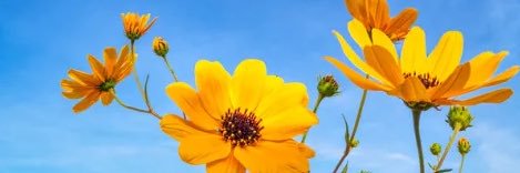 Amanda Hugginkiss 🐊 banner