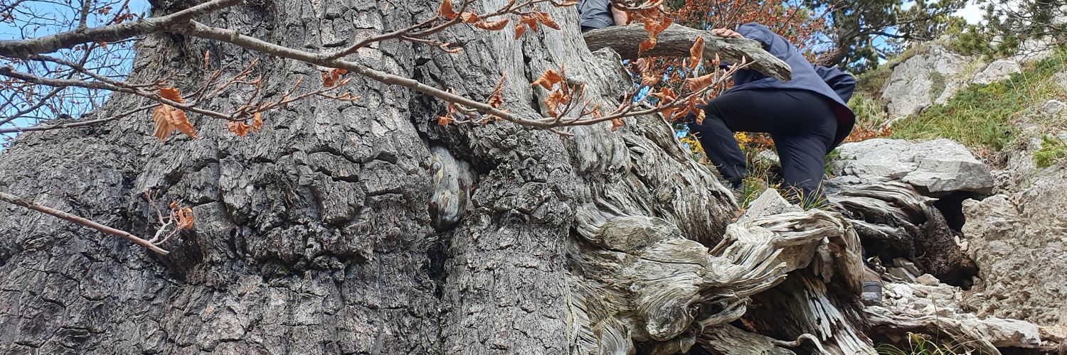 Fare Calabria banner