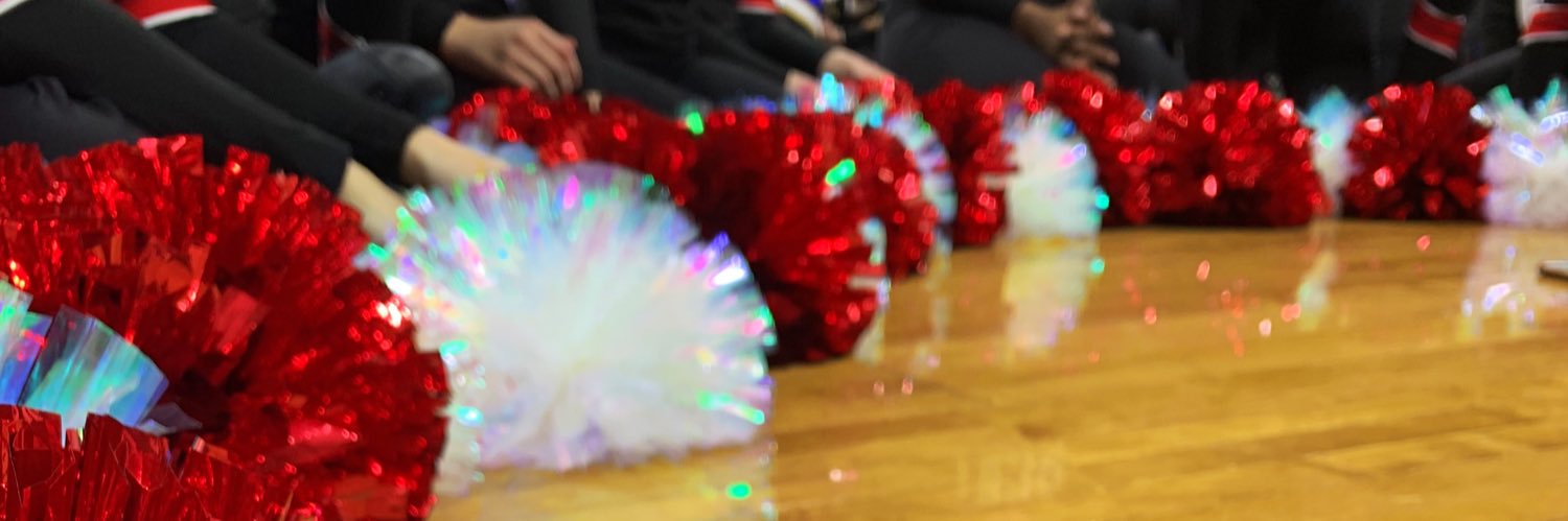 Divine Child Pom banner