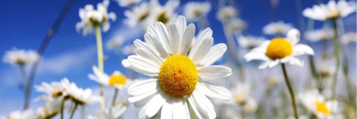 BeautyIs_Meeee's profile banner image