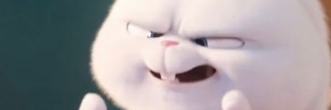 olgaarr123's profile banner image