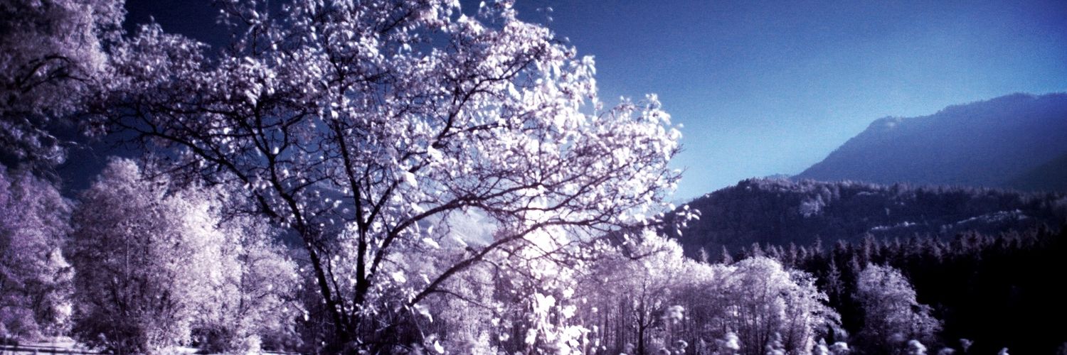 wldktlvr's profile banner image