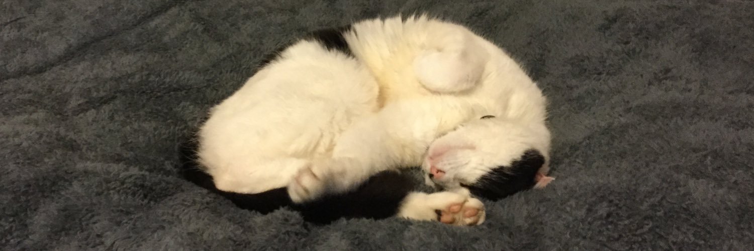 BertieBoycat's profile banner image