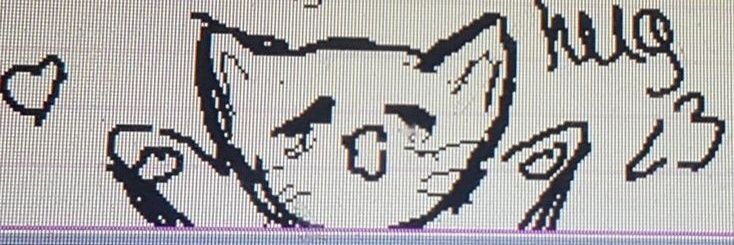 aureliaa banner