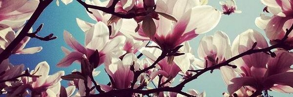 ItsCrisb Profile Banner