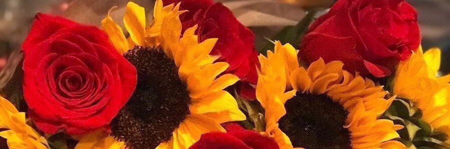 _ChocQNKey's profile banner image