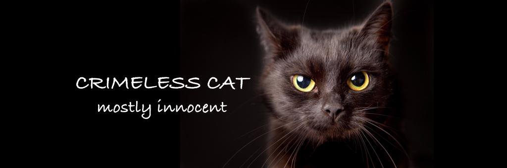 CrimelessCat's profile banner image