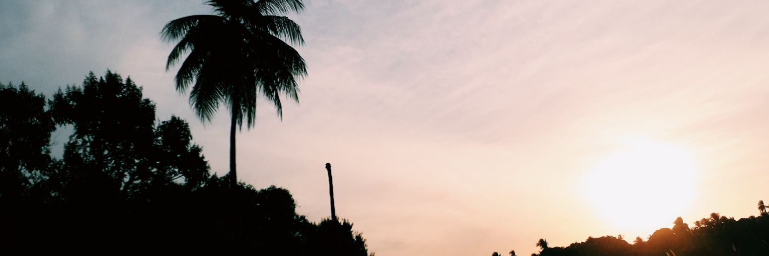 Danilo Shelby💸 banner