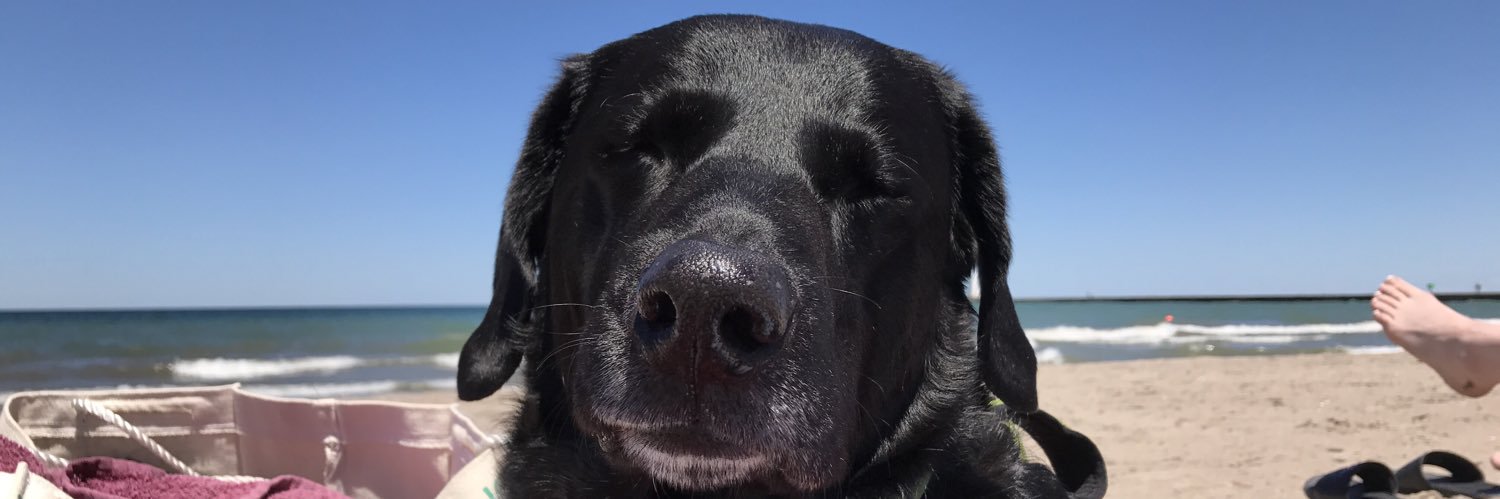 kayleeeeya's profile banner image