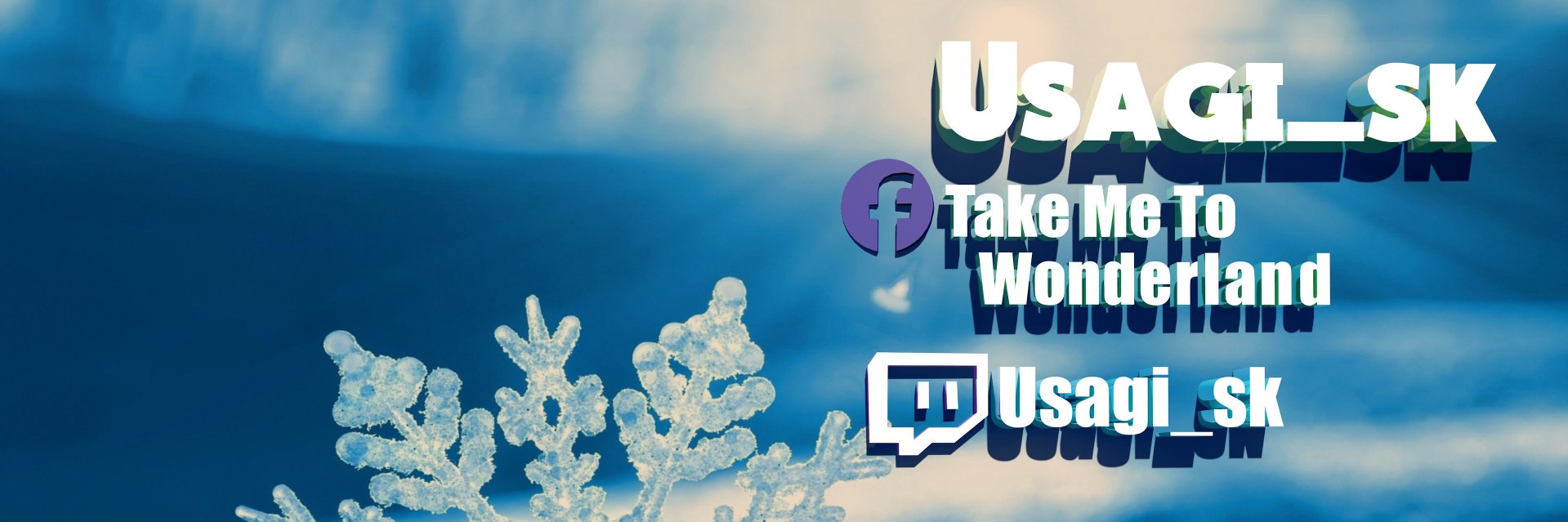 Usagisk's profile banner image