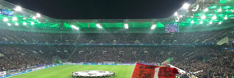 fohlenliebe's profile banner image