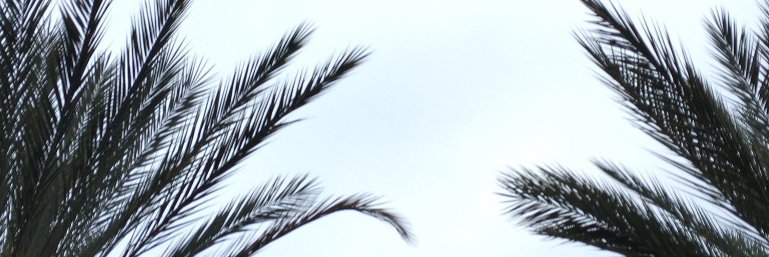 _half_fool's profile banner image