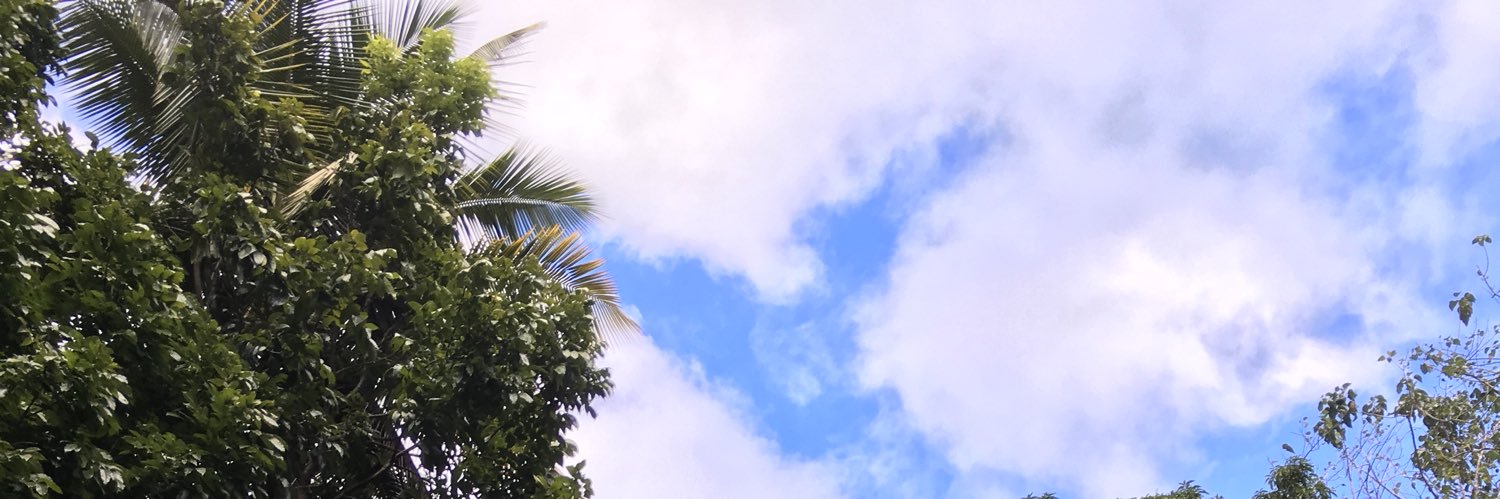 _myyell's profile banner image