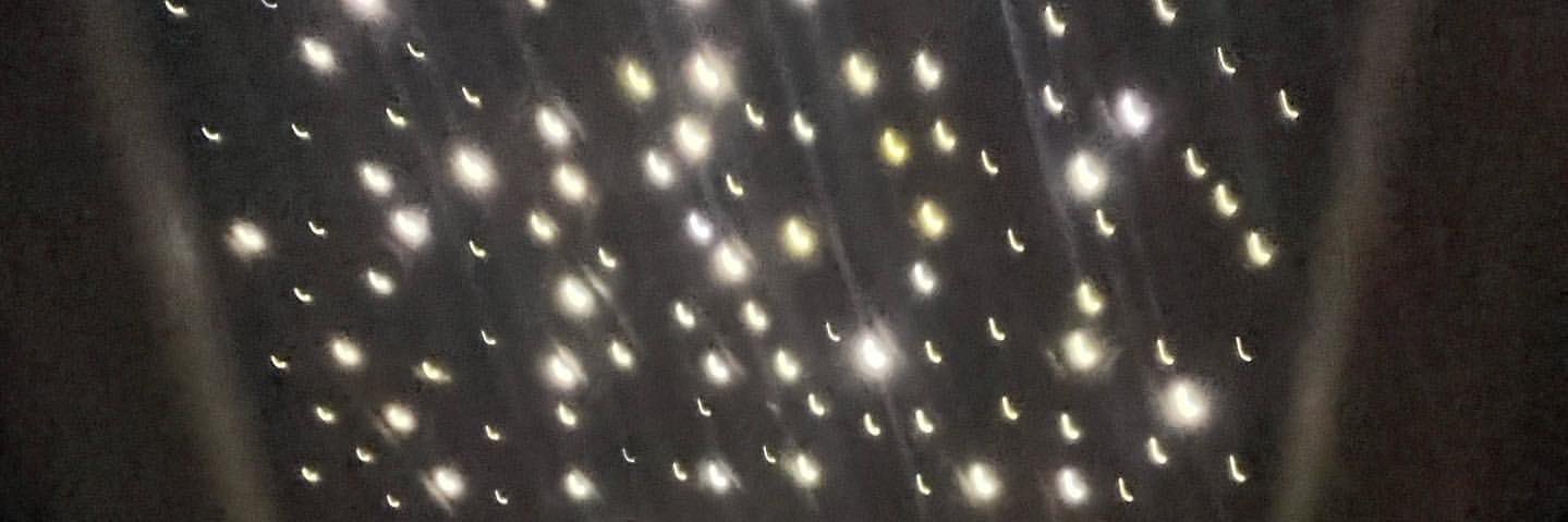 พิทึกมัคคึ🐣✨ banner