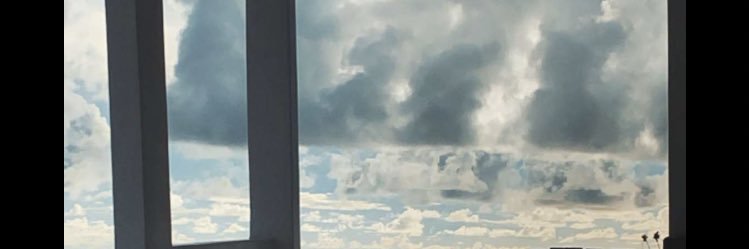 LoLo banner