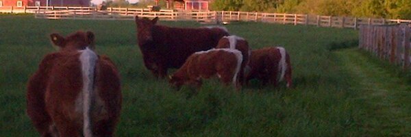 e_johnson92 Profile Banner