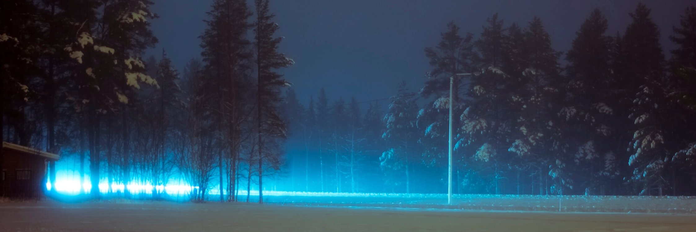 Sally Cinnamon banner