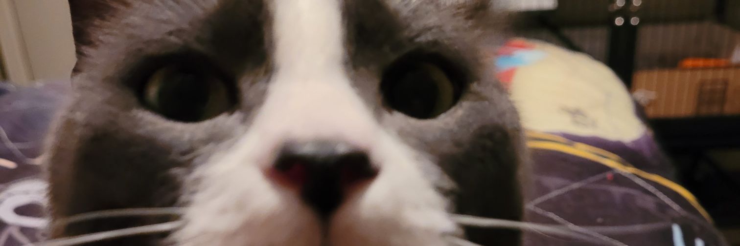Tcal Sin banner