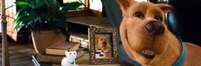 Dizzydugg's profile banner image