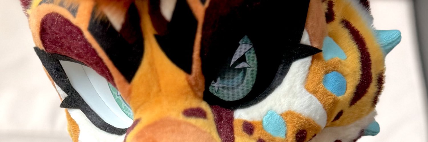 🔥🪶Phoenix Nest🪶🔥's banner