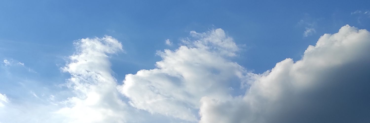 n0el1a's profile banner image
