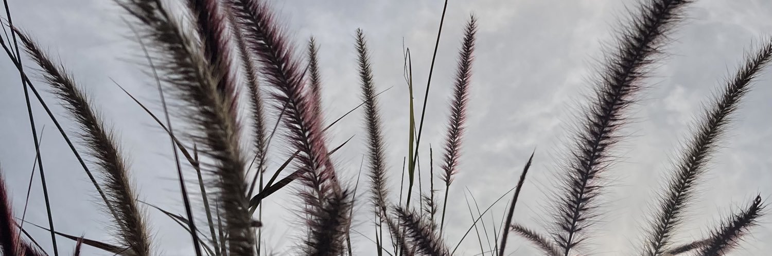 drsacula's profile banner image