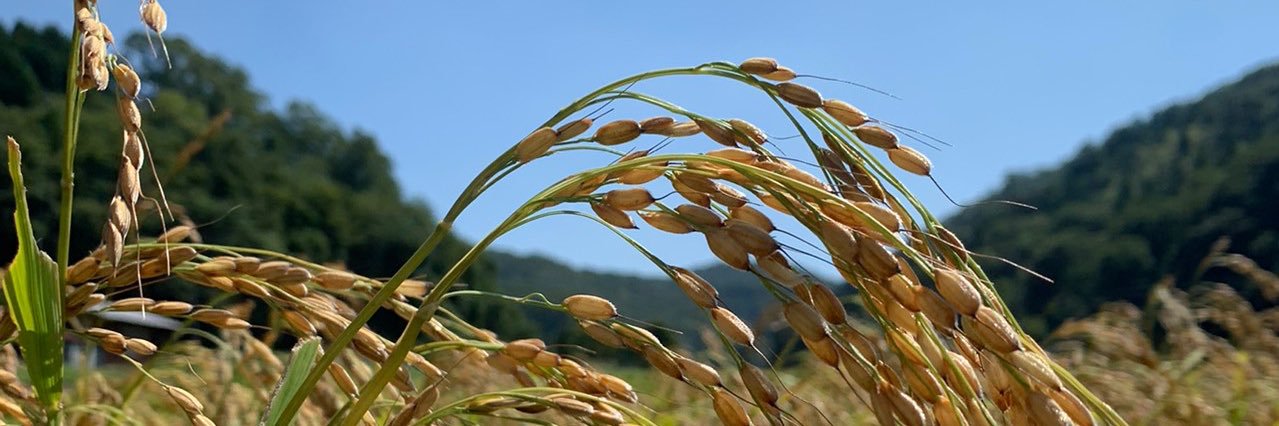 kunishooo's profile banner image