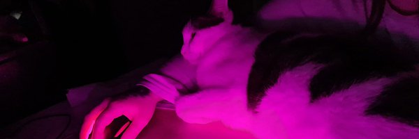 ExtraDespresso Profile Banner